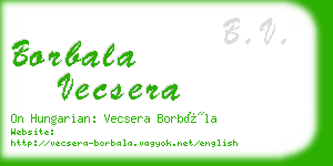 borbala vecsera business card